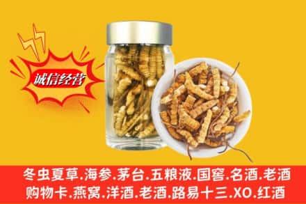 仲巴县回收散虫草