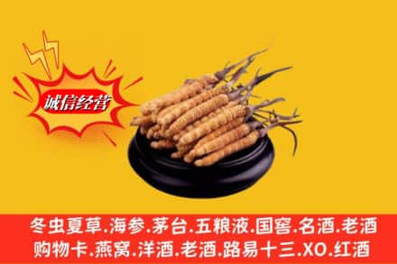 仲巴县名酒回收冬虫夏草.jpg
